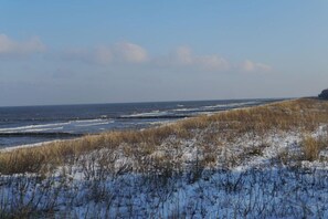 A coastal landscape with a sandy beach, grassy dunes, and a clear sky. - Green Street 38 A || Prerow (Prerow)