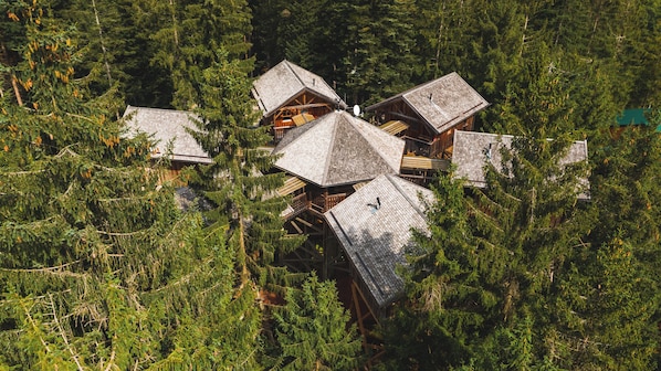 Un conjunto de cabañas con varios tejados rodeado de un bosque denso.