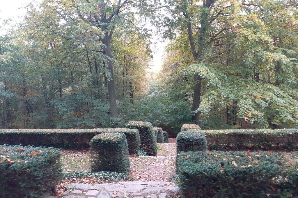 A garden with neatly trimmed hedges and a stone pathway.