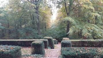A garden with neatly trimmed hedges and a stone pathway.