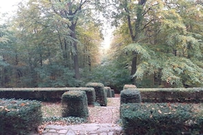 Ein Garten mit ordentlich geschnittenen Hecken und einem gepflasterten Weg.