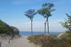 A sandy beach path leading to the sea with trees on either side. - "At the fountain" W.5 (Ostseebad Prerow)