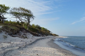 Ein sandiger Strand mit sanften Wellen, blauem Himmel und vereinzelter Vegetation.