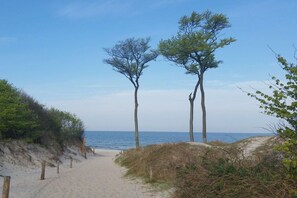 A sandy path leading to the beach with two trees and a clear view of the sea. - Holiday apartment with 2 bedrooms (Ostseebad Prerow)