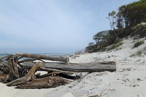 A sandy beach with driftwood and sparse vegetation. - Holiday apartment with 2 bedrooms (Ostseebad Prerow)