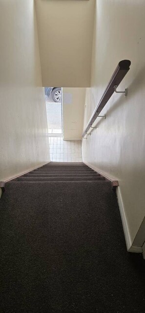 Eine Treppe mit Teppichboden, die zu einer Tür mit Fenster führt.