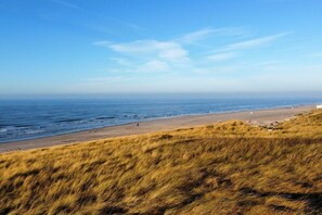 A coastal landscape with a beach and grassy dunes. - Holiday apartment with 1 bedroom (Callantsoog)