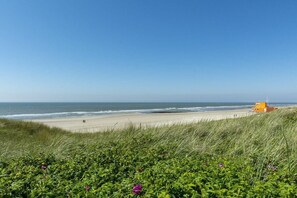 Ein Strand mit einer grasbewachsenen Vordergrundfläche und einem klaren, blauen Himmel.