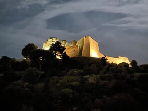 Un bâtiment historique doté d’une tour imposante et d’une structure à toit plat, entouré d’une végétation dense.