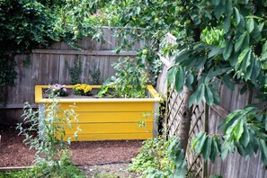 A raised garden bed with yellow borders, surrounded by a wooden fence and various plants.