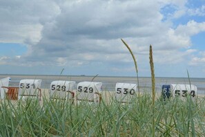 Strandstühle mit den Nummern 531 bis 534, Rasen im Vordergrund und ein bewölkter Himmel.