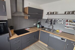 A modern kitchen with grey cabinets, a black induction cooktop, and a stainless steel sink. - Holiday apartment with 2 bedrooms (Berumbur)