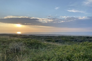 A natural landscape with a sunset over a body of water and dense vegetation in the foreground. - Holiday apartment in Juist with swimming pool (Juist)