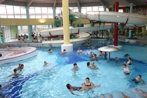An indoor swimming pool with multiple levels and slides. - in an idyllic location in Klink (Klink)