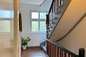 A staircase with a wooden handrail and a potted plant at the bottom.