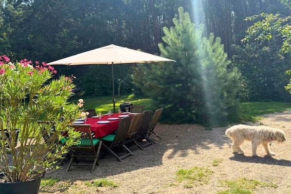 An outdoor dining area with a table set for two, a single umbrella, and a dog walking nearby.
