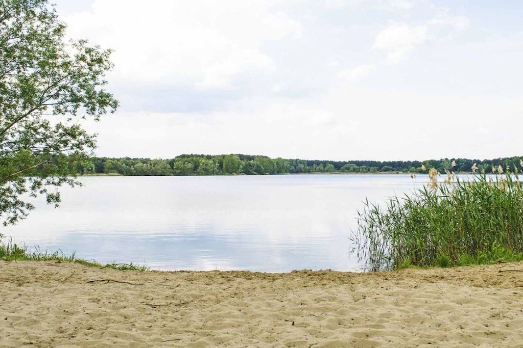Un lago tranquilo con orilla arenosa y una línea de árboles en la distancia.