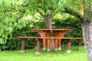Ein Holztisch mit Bank, umgeben von üppigem Grün.