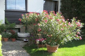 Un jardí amb plantes en testos i una bassina de pedra.