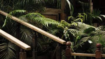 A wooden staircase with a handrail, surrounded by lush green foliage.