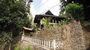 Eine Steintreppe führt zu einem Haus mit einem Strohdach, umgeben von üppiger Vegetation.
