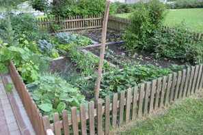 A garden with raised beds, a wooden fence, and various plants. - Holiday apartment with 2 bedrooms (Neustift)