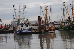 Een jachthaven met verschillende boten afgemeerd, waaronder een blauwe boot waarop 'ROSWIETHA NDRDEICH' staat.