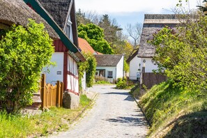 A cobblestone street flanked by traditional houses with thatched roofs and wooden fences. - The Beautiful House in Sellin—Pure Relaxation with a Sauna and Fireplace (Sellin)
