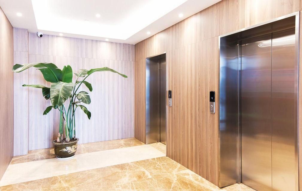 A modern elevator with a metallic finish, a potted plant, and a marble floor.