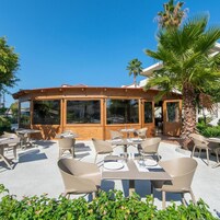 Un área de comedor al aire libre con mesas y sillas, ventanas amplias y una palmera.