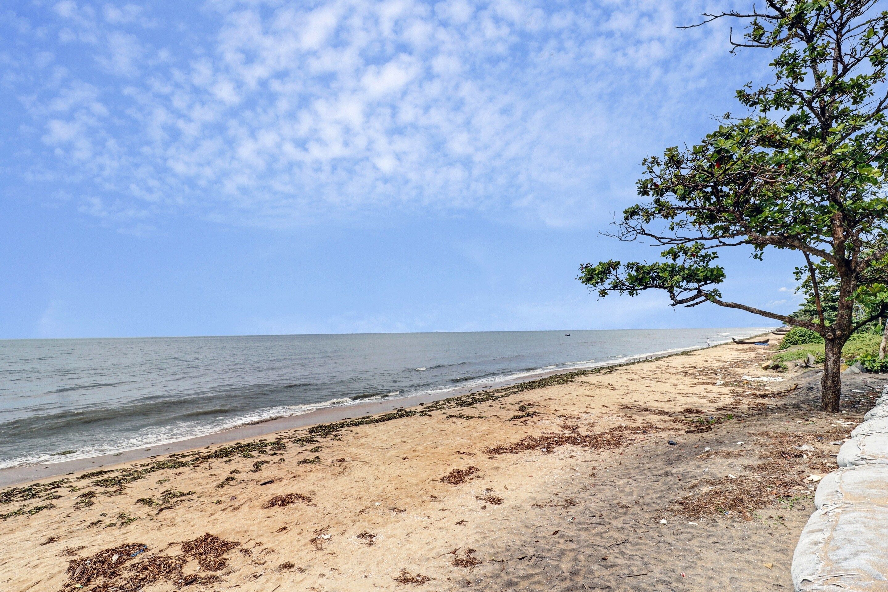 A beach with a tree on the right, a sandy shore, and the ocean in the background.