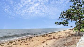 A beach with a tree on the right, a sandy shore, and the ocean in the background.