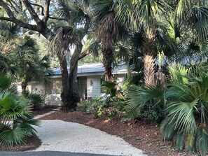 A house surrounded by dense tropical foliage, a gravel driveway, and a visible front porch. - Enjoyable 2-bedroom house in Hilton Head Island (Hilton Head Island)