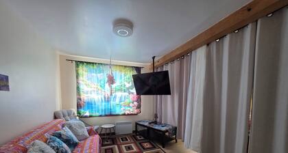 Cozy Updated Campbellton Studio. Sleeps 4 + Free Parking + Laundry Available.
