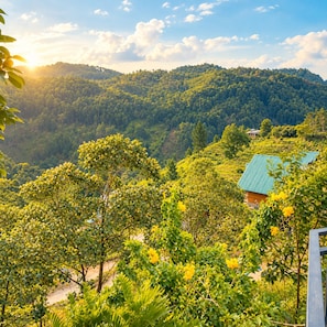Paisatge montaños amb una casa que té teulada verda, envoltada de vegetació exuberant i arbres.