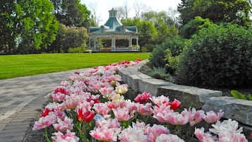 A garden with a gazebo and a pathway lined with tulips.