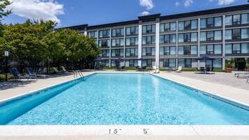 A rectangular swimming pool with a clear blue water surface, surrounded by lounge chairs and umbrellas, with a modern building in the background.