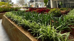 A modern high-rise building with multiple balconies and a landscaped garden area with various plants. - Charming apartment in beautiful Kilimani, Nairobi perfect for your stay (Nairobi)
