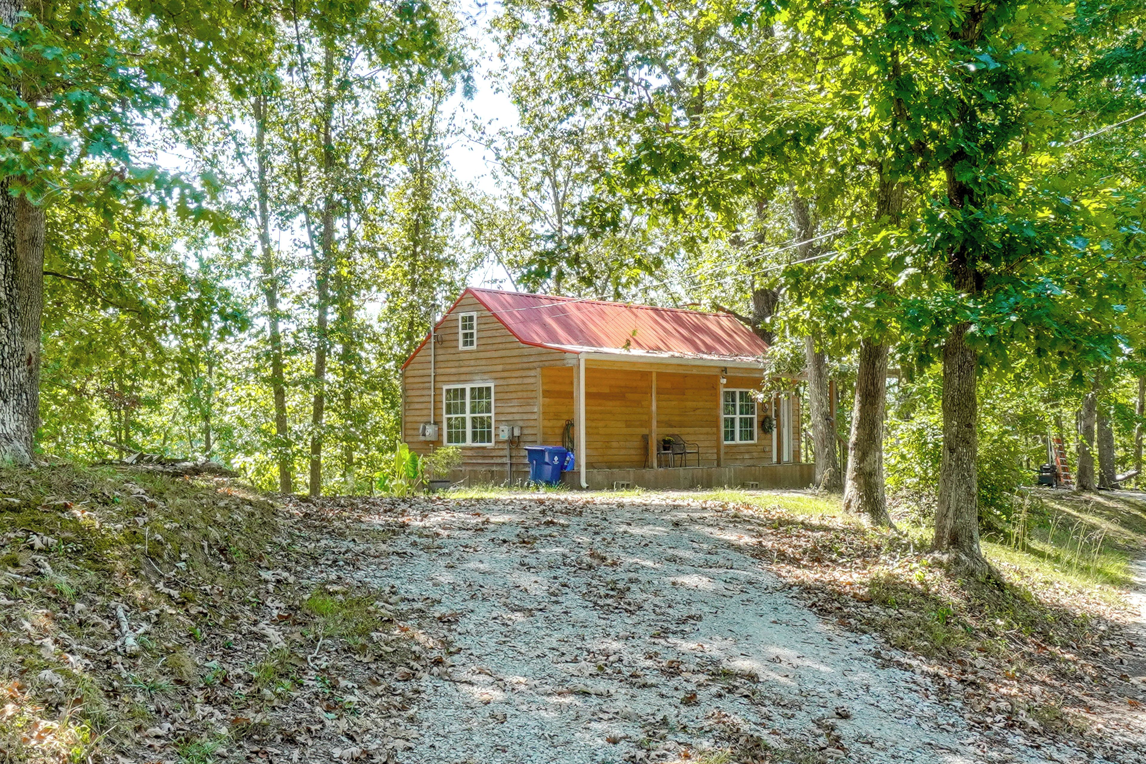 A rustic cabin with a metal roof, surrounded by dense trees and a gravel path leading to it.