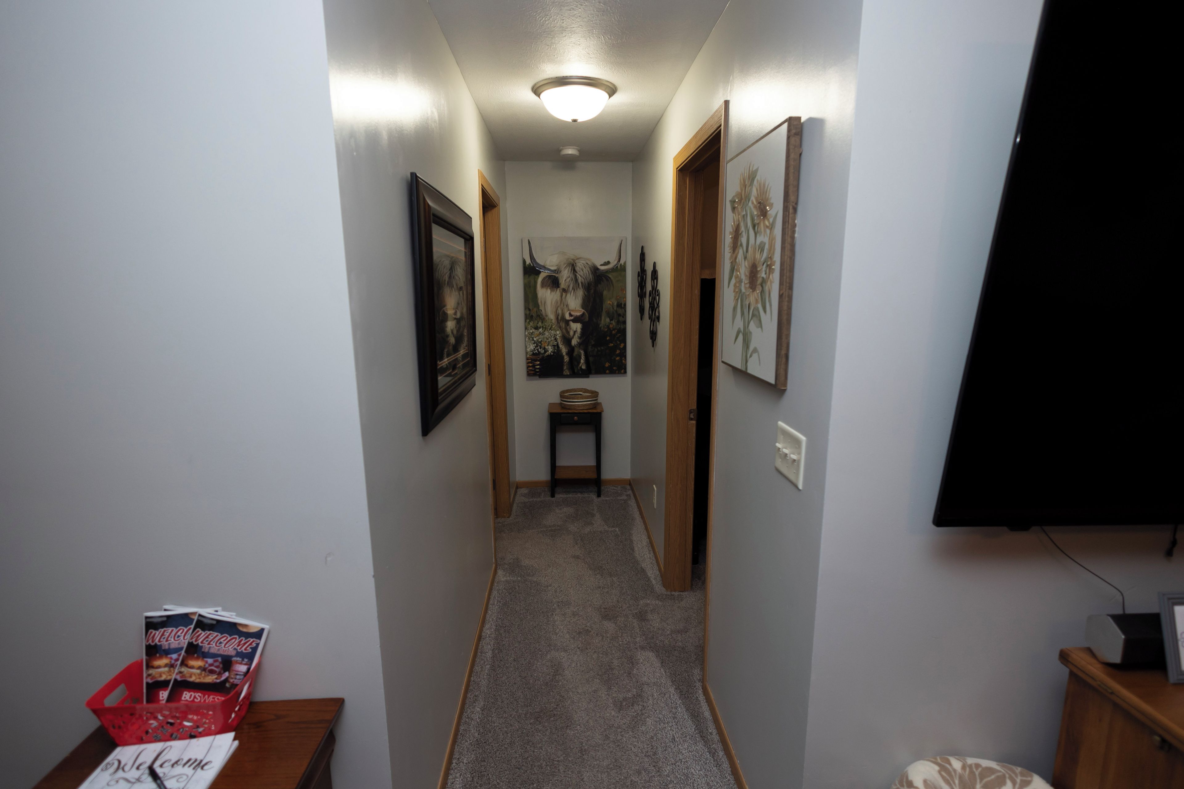 Um corredor estreito com piso coberto por carpete, quadros nas paredes e uma porta ao fundo.