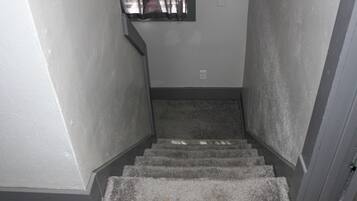 A carpeted staircase with a handrail, leading to a landing with a power outlet.