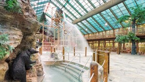 Pool - 2-bedroom resort in superb Gatlinburg with fitness room, jetted bath tubs, w/AC (Gatlinburg)