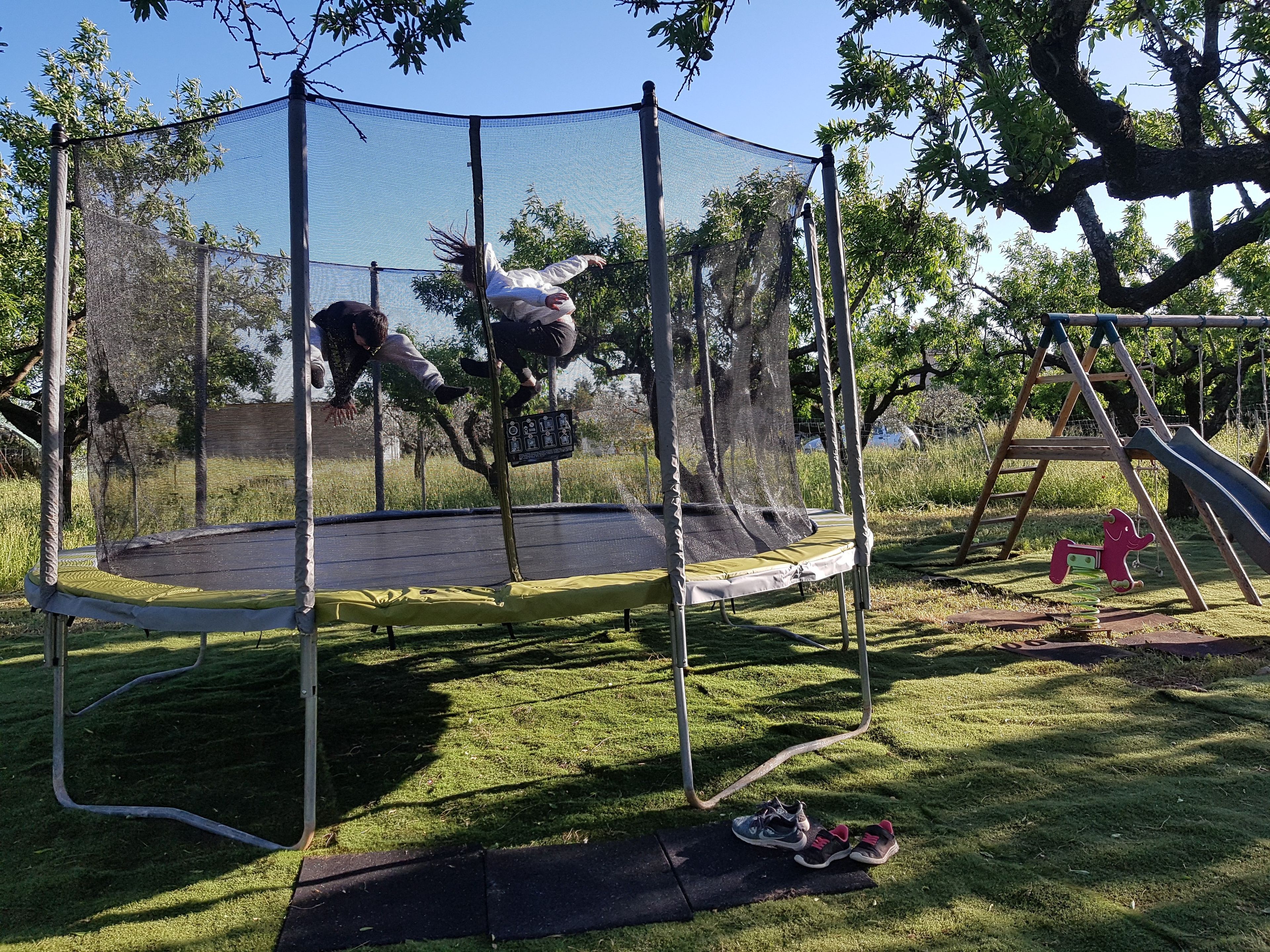 A trampoline with a safety net enclosure in a grassy outdoor area.