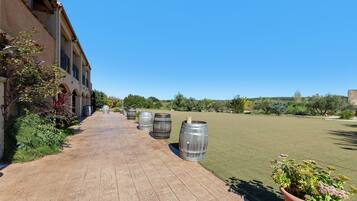 A pathway lined with large barrels, a building with arched windows, and a grassy field.