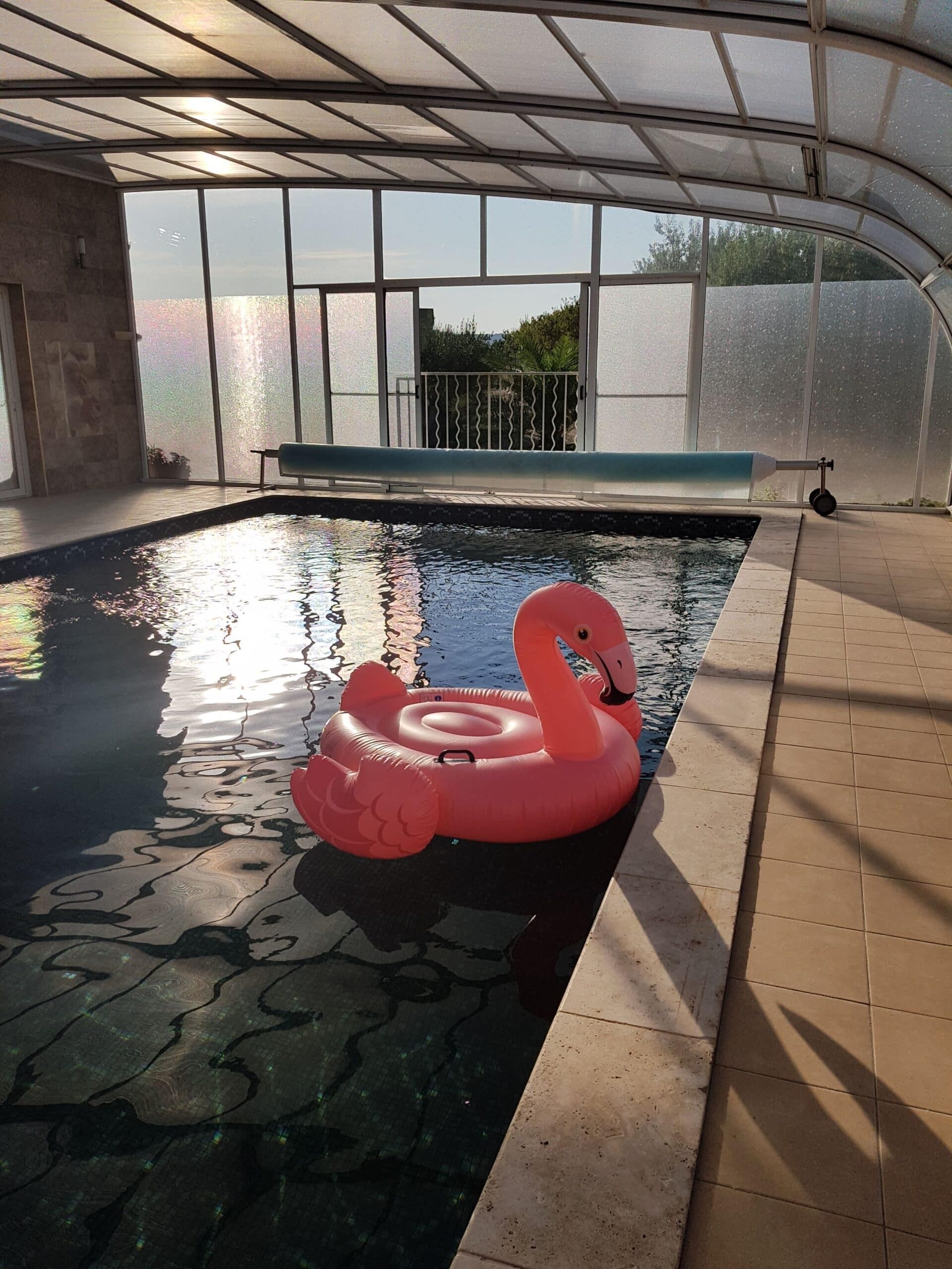An indoor swimming pool with a clear glass ceiling, a swan inflatable float, and a view of the outdoors.