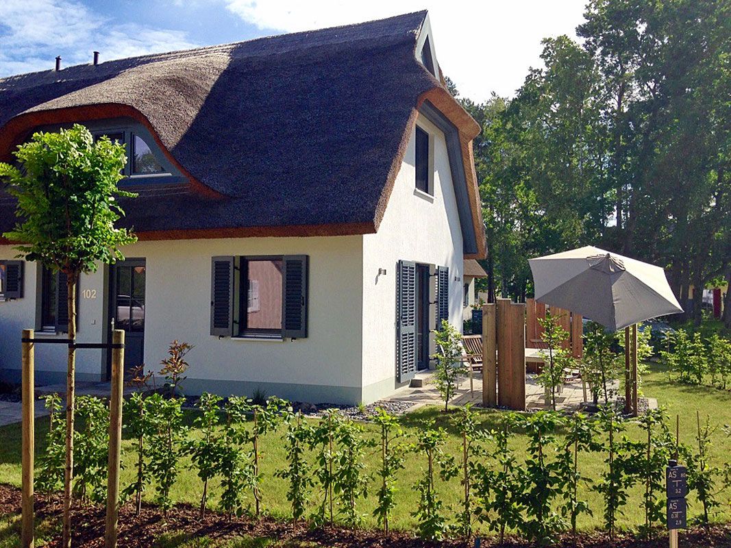 A house with a sloped roof, a small garden with young plants, and a wooden bench.