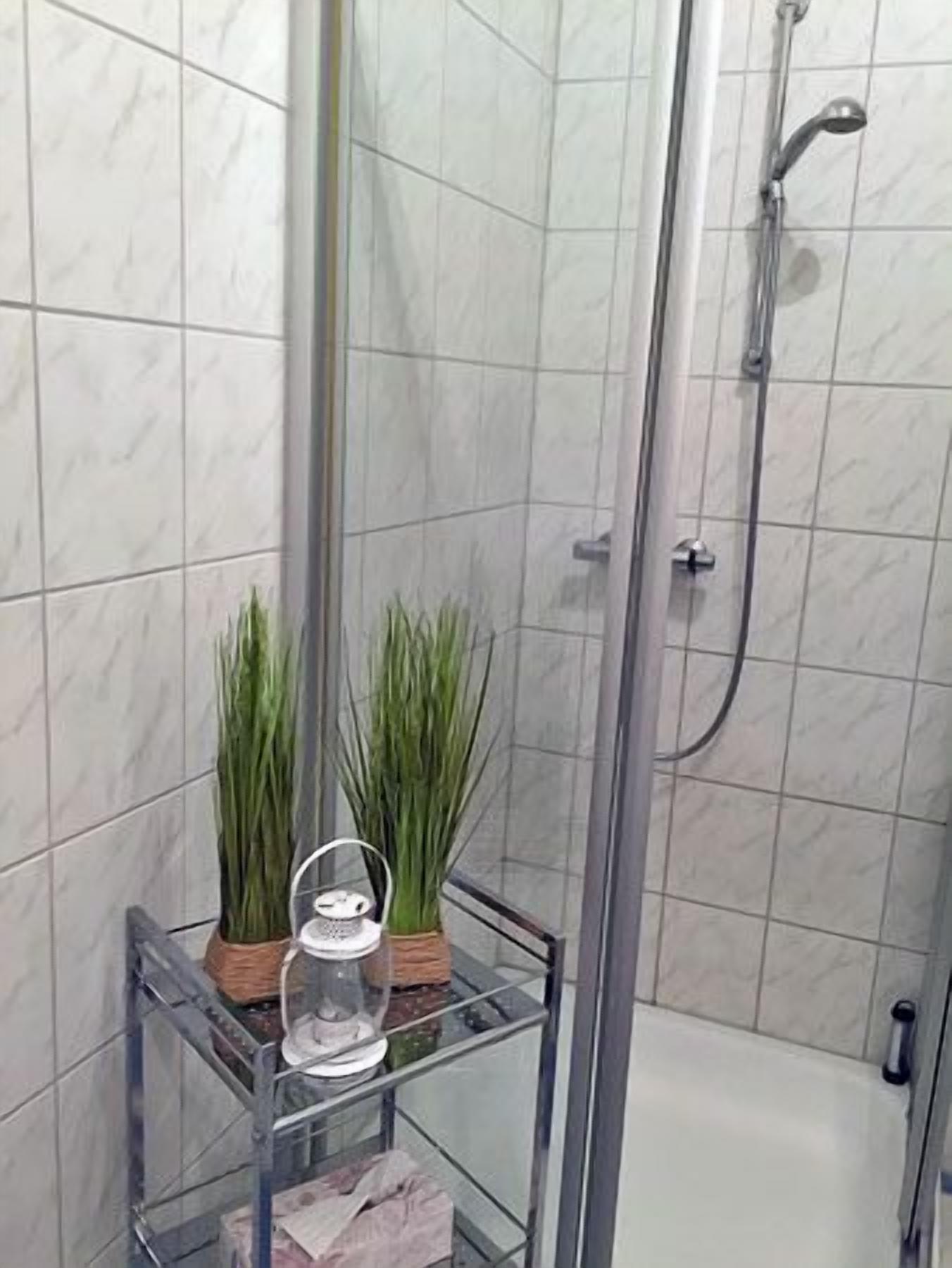 Area doccia con porta in vetro, un portariviste metallico con piante e una parete rivestita di piastrelle bianche.