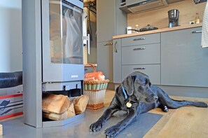 Eine Küche mit grauen Schränken, einem Justus Holzofen, einem Hund, der auf dem Boden liegt, und einem Holzkorb.