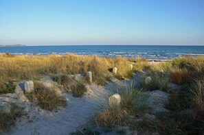 Ein Strand mit Dünen und freiem Blick auf den Ozean.