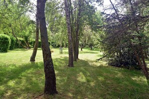 Uma área natural ao ar livre com árvores e grama.